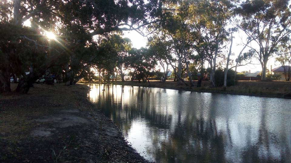 View from Beer Garden