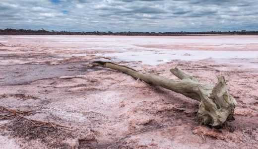 the-pink-lake